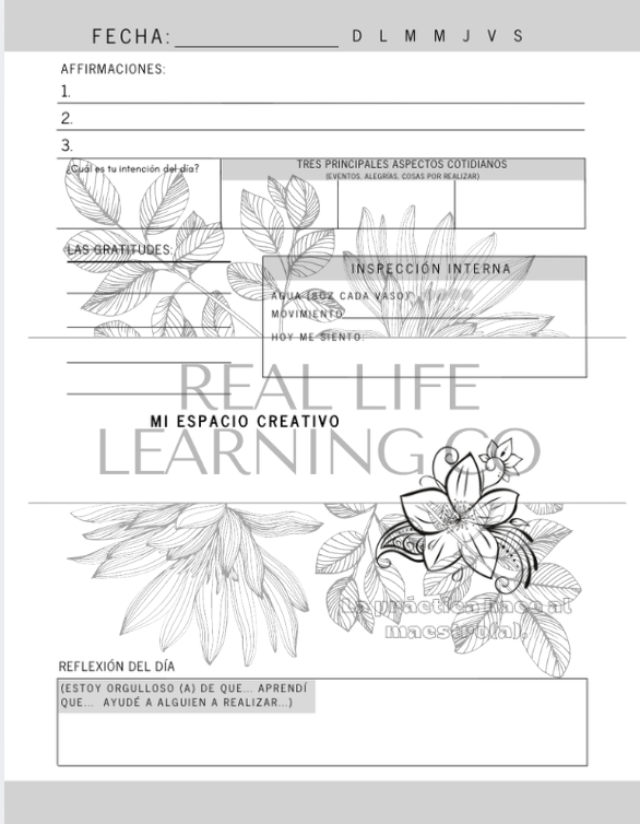 SPANISH My Daily Journal (Mi Diario): Gratitude, Affirmations, and Mindfulness for Kids