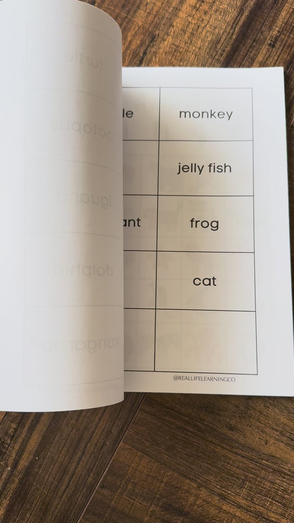 Best Summer Ever Guide - PRINTED